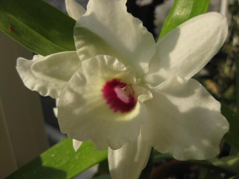 Изображение 337 сж.jpg