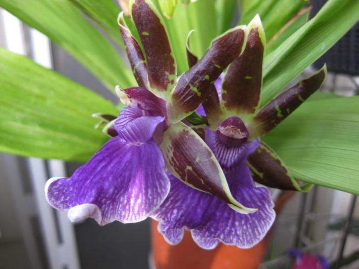 Изображение 340 сж.jpg