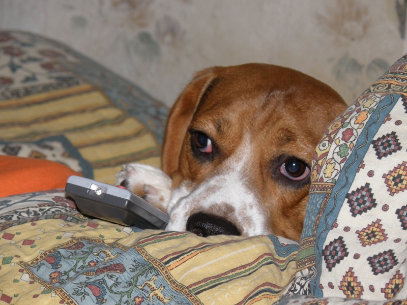 Антонио с пультом.JPG