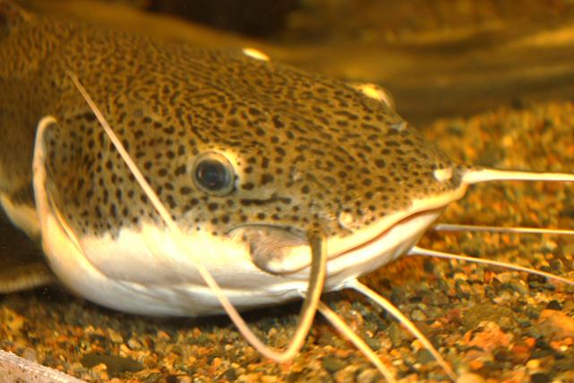 Картинки с выставки 9.jpg