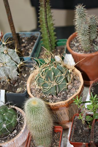 Картинки с выставки 8.jpg