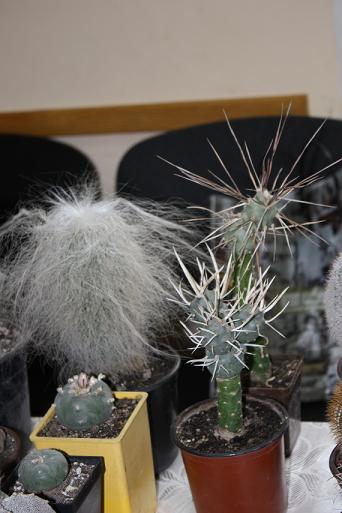 Картинки с выставки 7.jpg