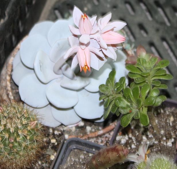 Картинки с выставки 5.jpg