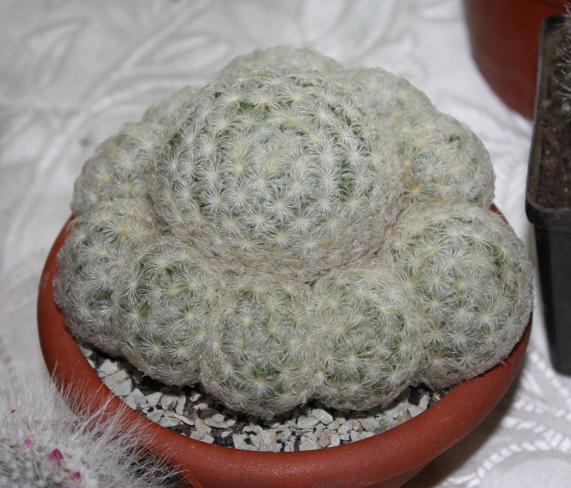 Картинки с выставки 2.jpg