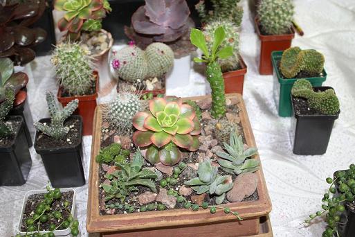 Картинки с выставки.jpg