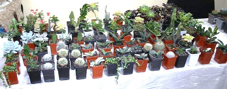 Картинки с выставки 1.jpg