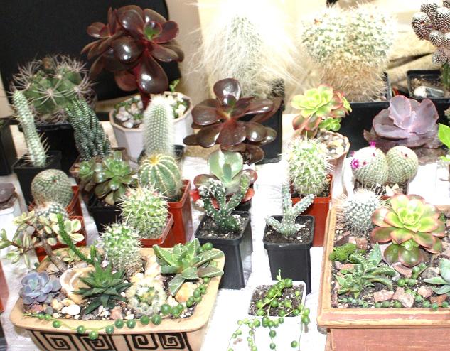 Картинки с выставки 12.jpg