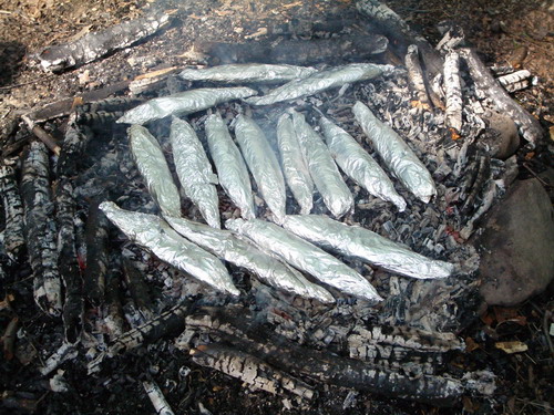 forel 08.jpg