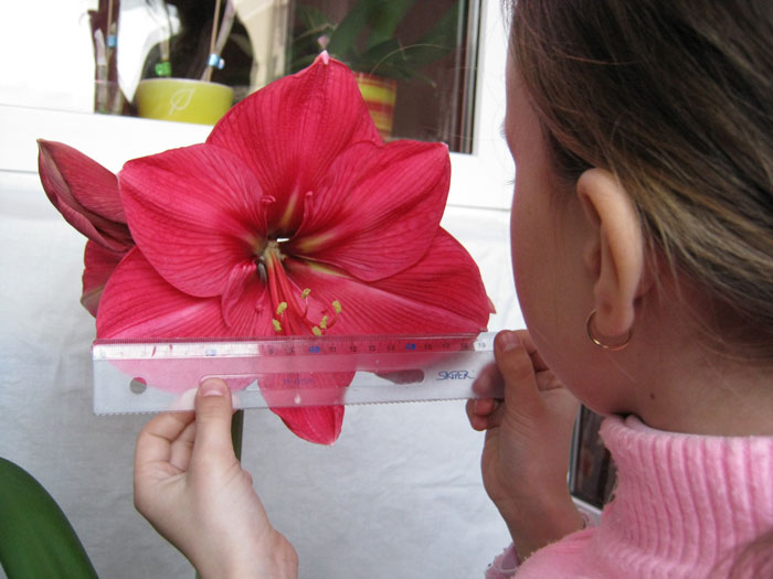 Подрастающая смена - уже не надо просить,сама с линейкой прибегает.