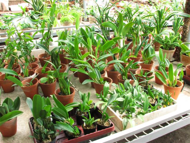 IMG_5751 (Small).JPG