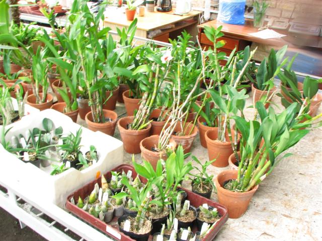 IMG_5752 (Small).JPG