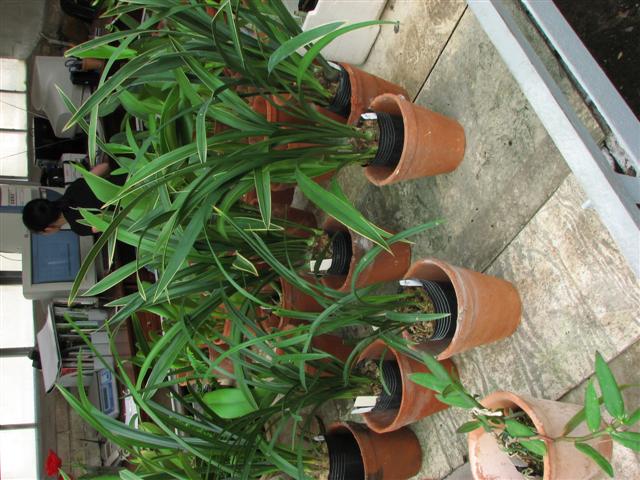 IMG_5757 (Small).JPG