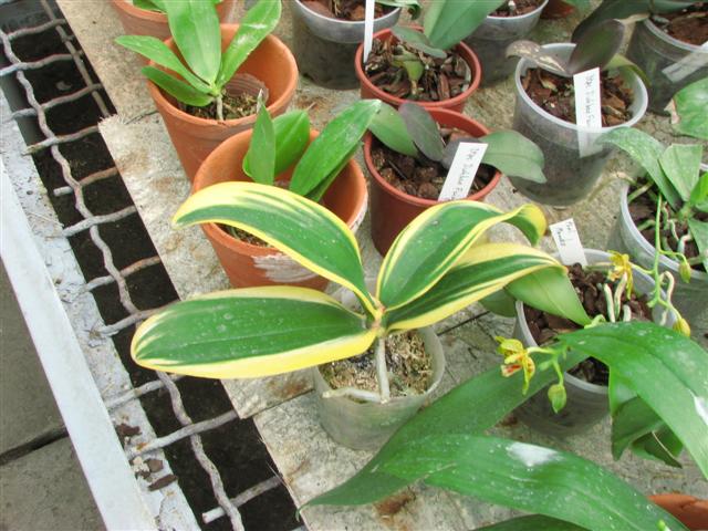 IMG_5759 (Small).JPG