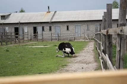 5 мальчик.jpg