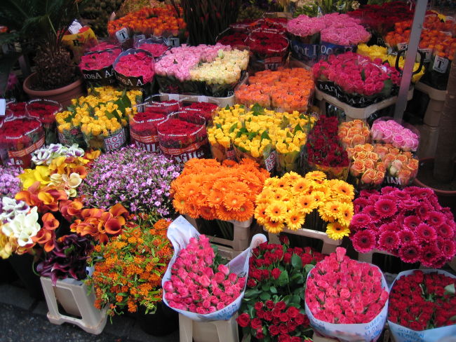 blumenmarkt.jpg