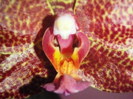 Изображение 332.jpg