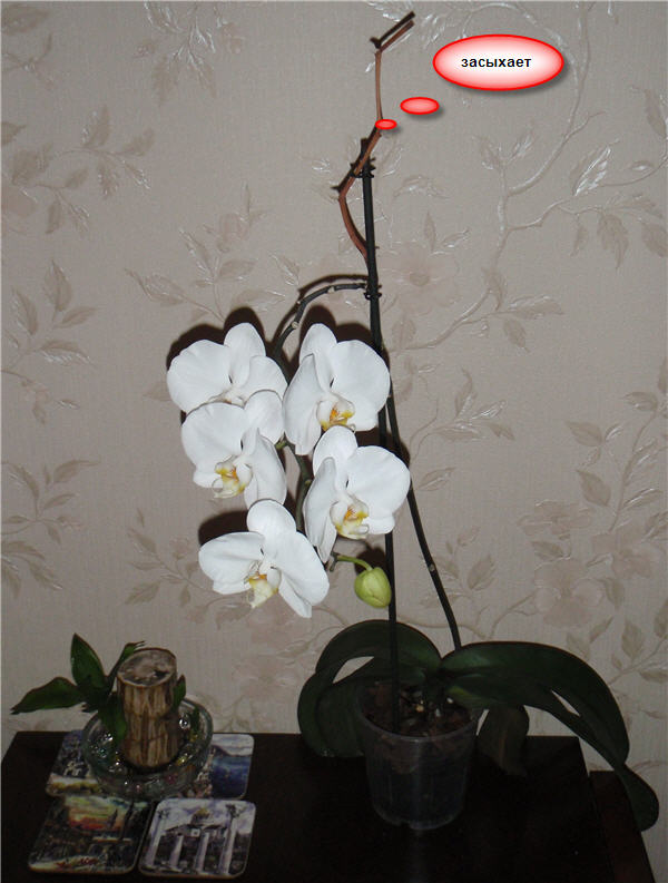 фото от 11 мая 2010