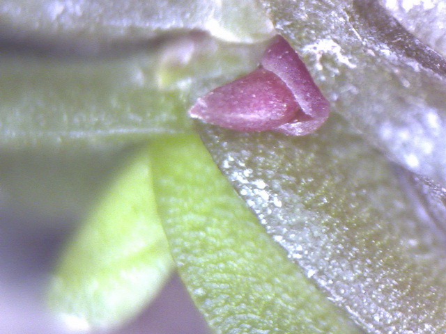 Копия Изображение 29.jpg