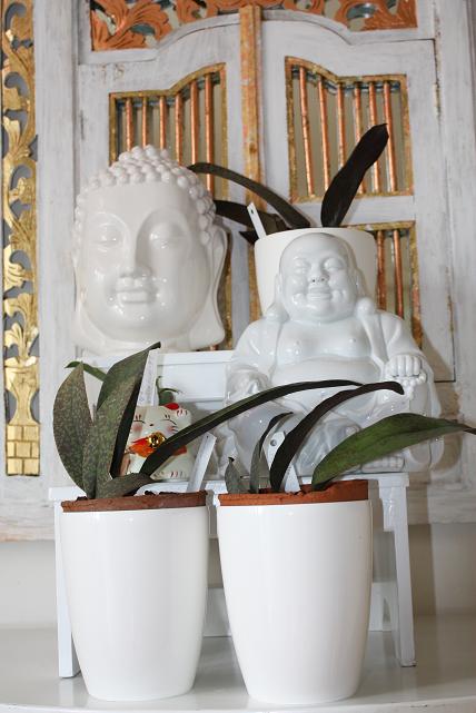 Канапатые зайцы.jpg