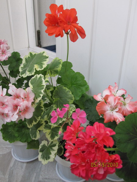 Композиция 02.jpg