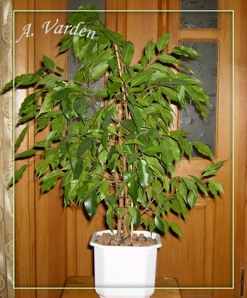 Вот так мы выглядели прошлым летом