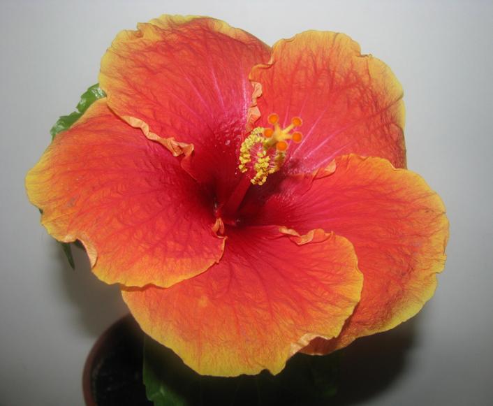 Ten Thirty Seven.jpg