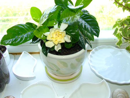 А такая сейчас.