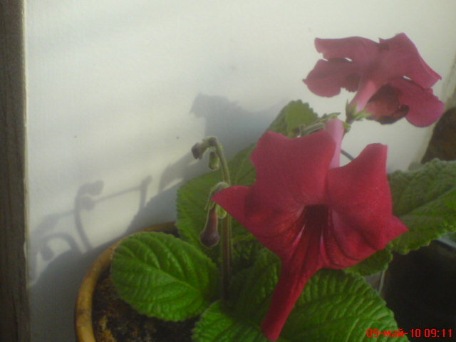 Изображение 1265.jpg