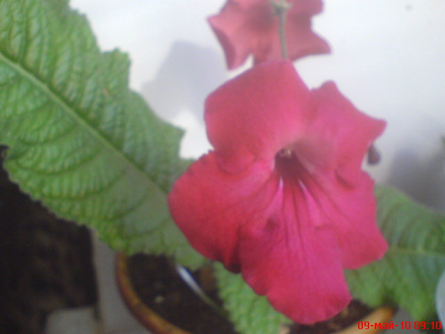 Изображение 1263.jpg