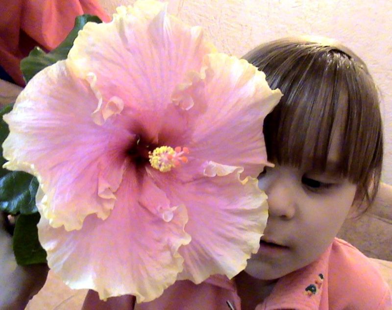 Два цветочка вместе)))