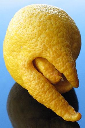 lemon.jpg