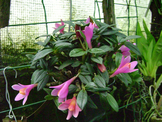 Изображение 133.jpg