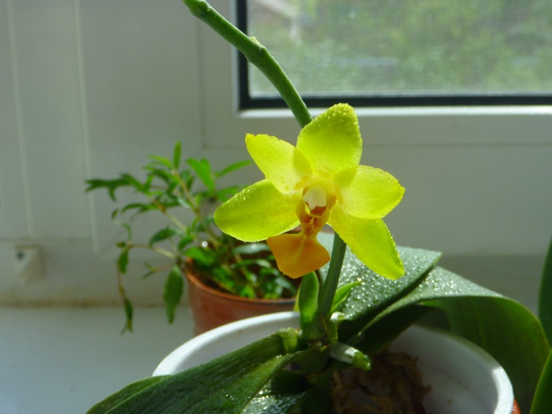 P1000994 [800x600].JPG