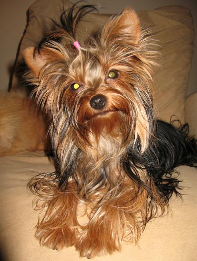 Изображение 3333334556 277.jpg