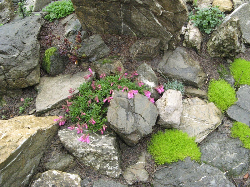 богачевы 147а.jpg