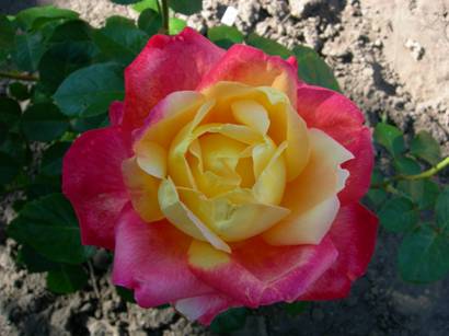 восточный экпресс 3.jpg