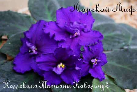 Морской Миф 2.jpg