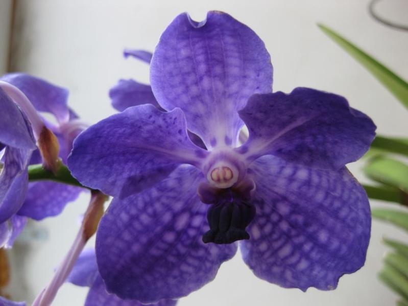 Изображение 003 сж.jpg