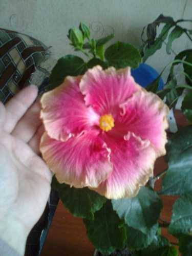 Изображение 201.jpg