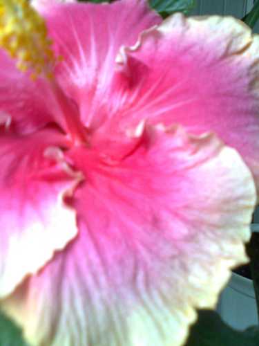 Изображение 202.jpg