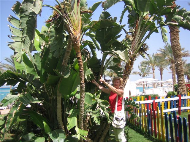 Hilton_20010 065.jpg