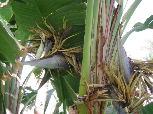 Hilton_20010 067.jpg