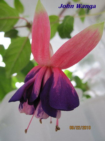 John Wanga_1 007.jpg