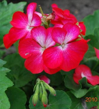 Изображение 791.jpg