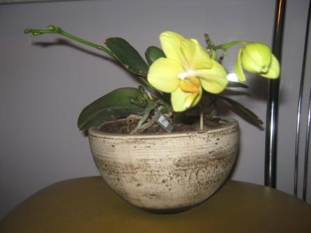 Копия IMG_0028.JPG