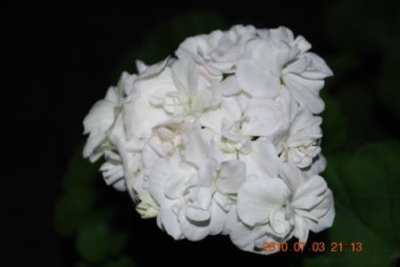 Изображение 836.jpg