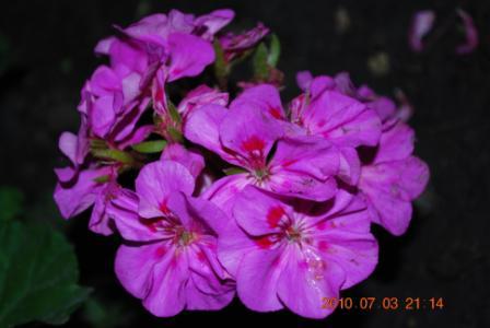 Изображение 837.jpg