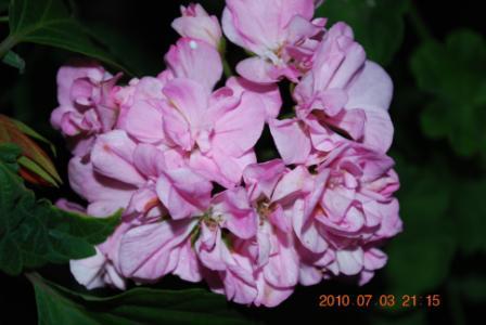 Изображение 838.jpg