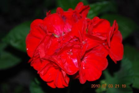 Изображение 854.jpg