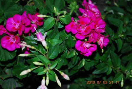 Изображение 848.jpg